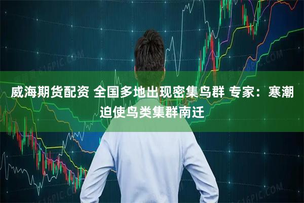 威海期货配资 全国多地出现密集鸟群 专家：寒潮迫使鸟类集群南迁